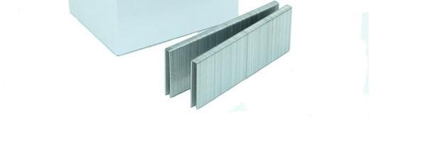BeA SX5035 11/4G Staples