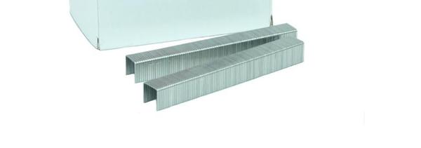 BeA SB 5019 1/2